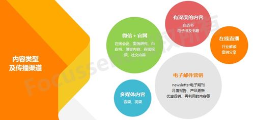 B2B科技公司 企业营销战略布局、技术转让与咨询的落地实践方法