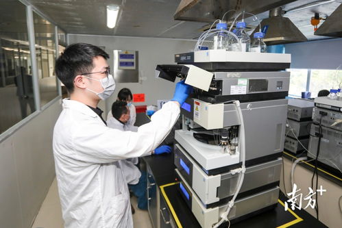 数说坪山 争拼赶超跑出高质量发展加速度