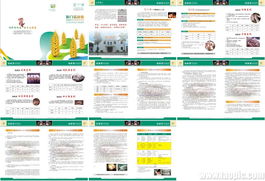 饲料产品技术手册 技术转让与咨询全解析