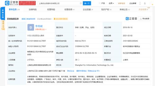 技术转让及技术咨询的核心理论与实践策略